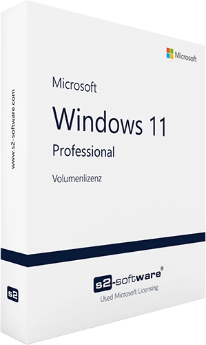 Windows 11 Professional